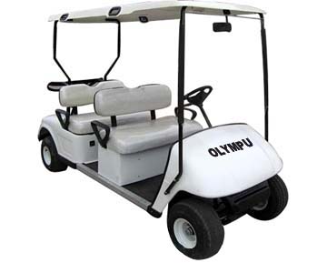  Golf Cart Gc01