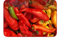  Chilli Pepper (Piment)