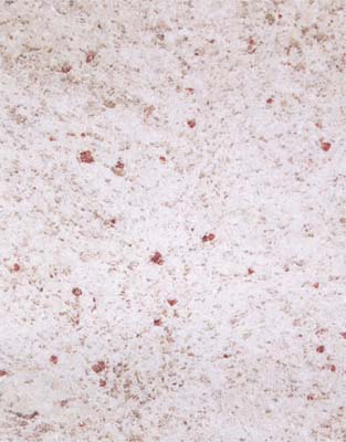  Kashmir White Granite