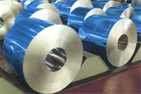  Pre-painted Steel Coil (Acier pré-peint Coil)