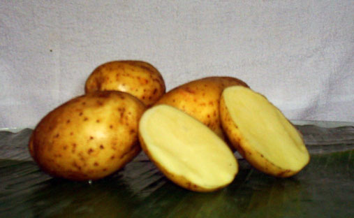  Potatoes