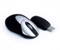 Mini Wireless Mouse (Mini Wireless Mouse)