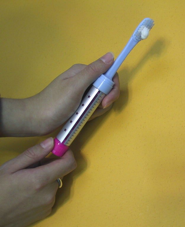 refillable toothbrush