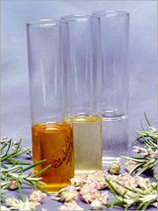 Natural Absolutes, Floral Absolutes, Floral Oils (Natural Absolus, Floral Absolus, Floral Huiles)