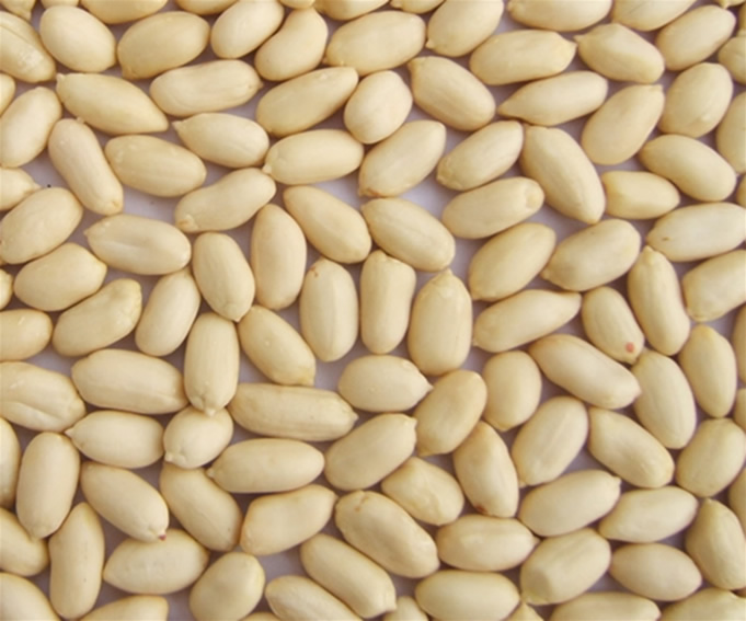  Blanched Peanuts (ARACHIDES BLANCHES)