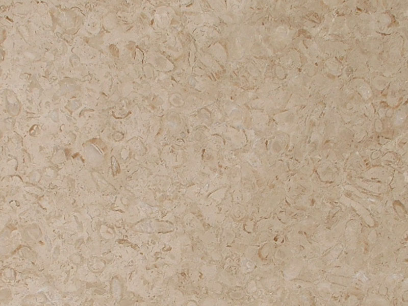  Crema Unico Marble Tiles And Slabs (Crema Unico carreaux de marbre et dalles)