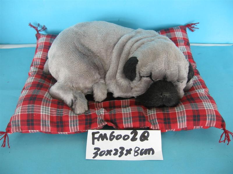  Sleeping Dog On Blanket ( Sleeping Dog On Blanket)