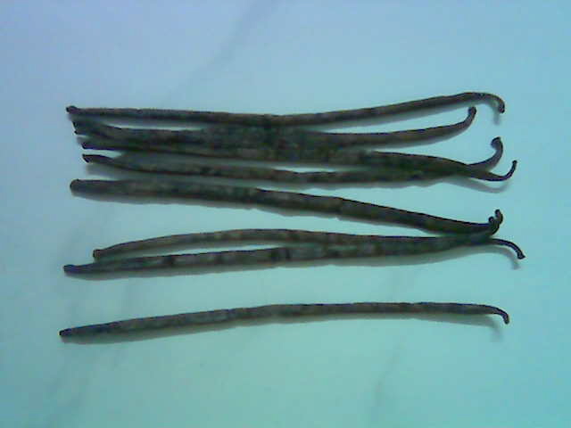  Vanilla Beans ( Vanilla Beans)