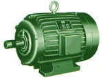 AC Induction Motors