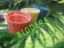  100% Organic Flower Pots ( 100% Organic Flower Pots)