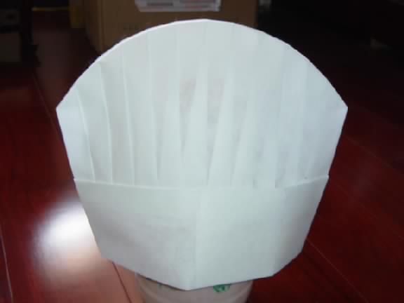  Paper And Non-Woven Caps / Hats ( Paper And Non-Woven Caps / Hats)