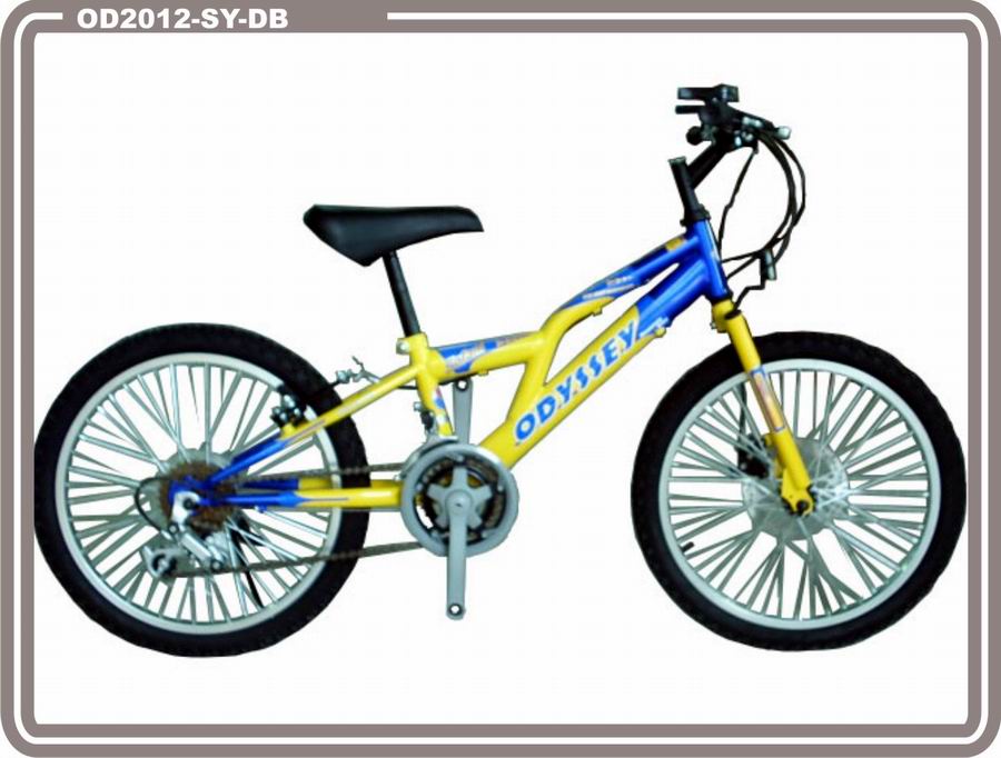  20 Children Mountain Bike Disc Brake 12 Speeds (20 детей Mountain Bike Диск тормозной 12 Скорости)