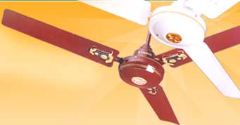  Electric Ceiling Fan (Électriques de ventilateur de plafond)