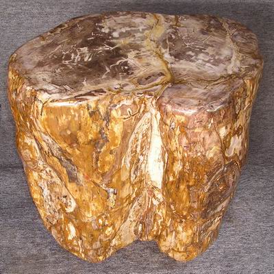  Polished Petrified Wood Tables (Poli bois pétrifié de la table)