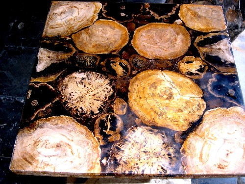  Petrified Wood Table Tops (Petrified Wood Table Tops)