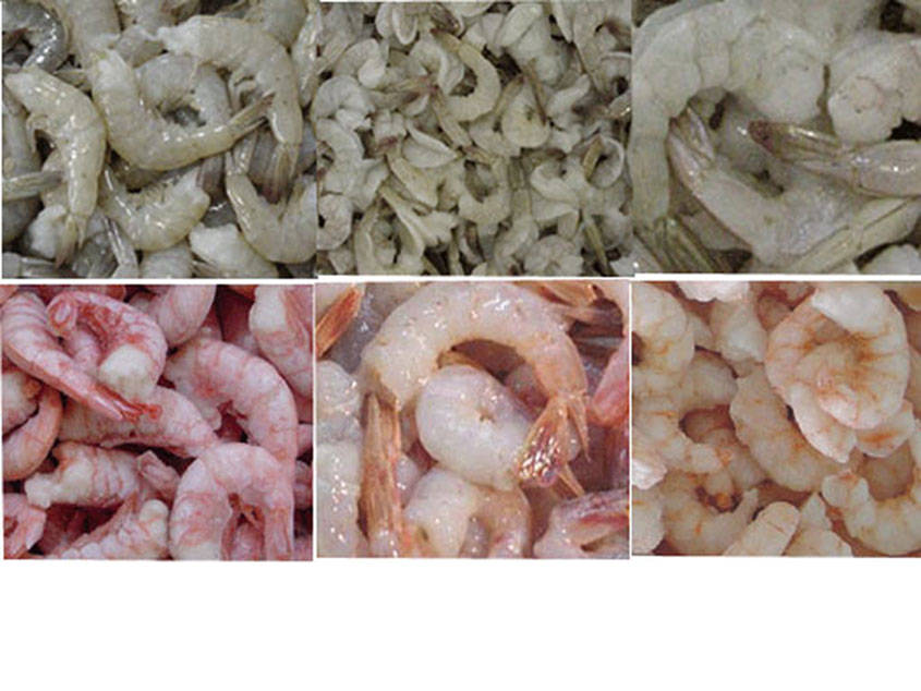  Shrimp Products