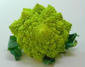  Frozen Romanescu (Замороженные Romanescu)