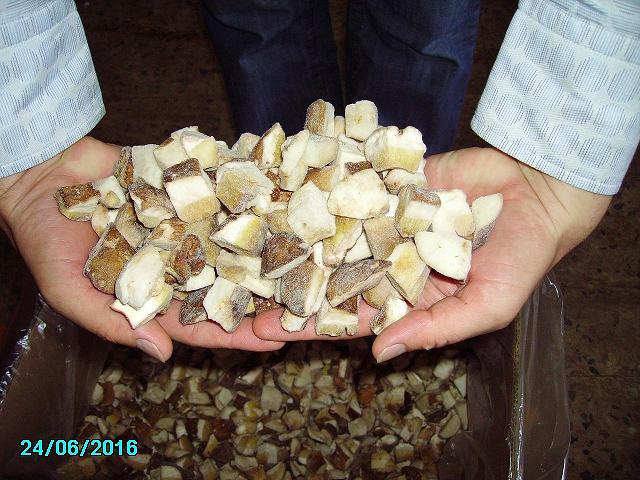 Fresh Season 2007 Wild Mushrooms (Сезон 2007 свежие лесные грибы)