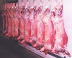  Lamb Carcass / Six Cuts / Four Cuts / Legs ( Lamb Carcass / Six Cuts / Four Cuts / Legs)