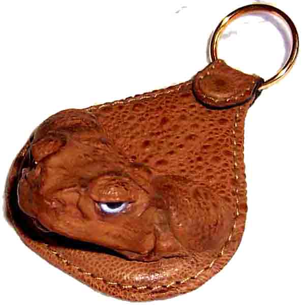 Toad Key Holder (Жабы держателем ключа)