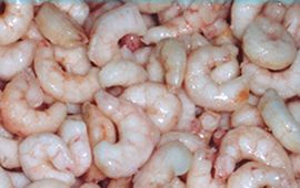  Raw Frozen Pud Shrimps ( Raw Frozen Pud Shrimps)