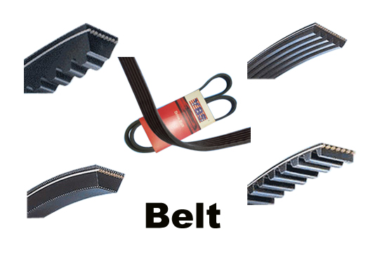  Automotive Timing Belt T Type Poly V (Automotive Timing Belt Type T Poly V)