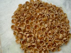  Soap Nut Shells (Soap-Schalen)
