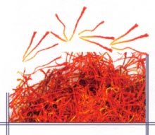  Premium 1oz Saffron Tin (Premium 1 oz Safran Tin)