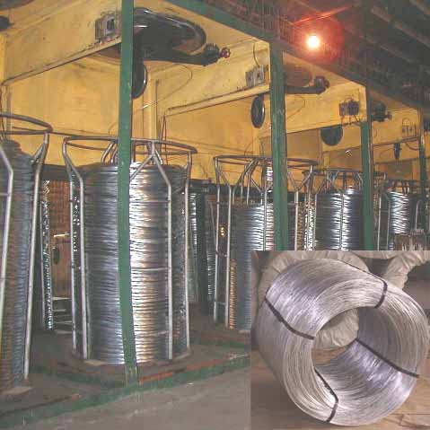  Galvanized Steel Wire (Verzinktem Stahldraht)