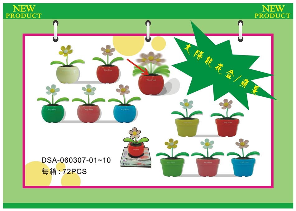 Solar-Blumen / Apple (Solar-Blumen / Apple)