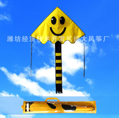  Popular Kite (Popular Kite)