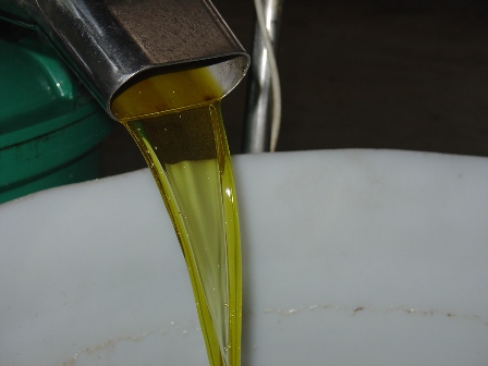  Olive Oil