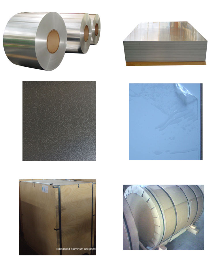  Aluminum Coil & Sheet (Aluminium Coil & Parts)