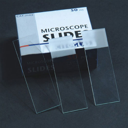  Microscope slide (Предметное стекло микроскопа)