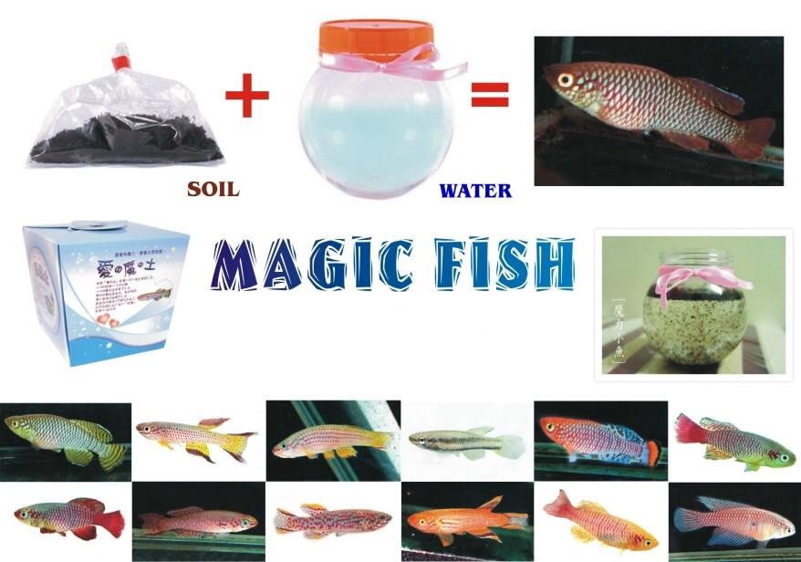  Magic Fish (Magic Soil, Lucky Fish) (Magic рыбы (Magic Почва, Lucky Fish))