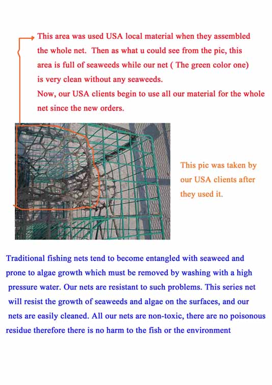  Fishing Net Without Growing Seaweeds (Pêche au filet sans se Algues)