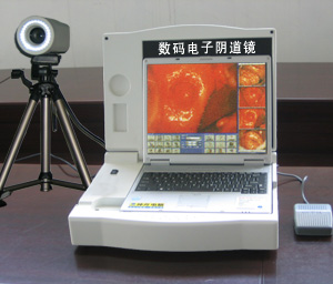  Portable LCD Digital Electric Vagina (with software)