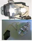  Original Lamp For Infocus Projector Lp530/500 (Original Lampe für InFocus Projektoren Lp530/500)