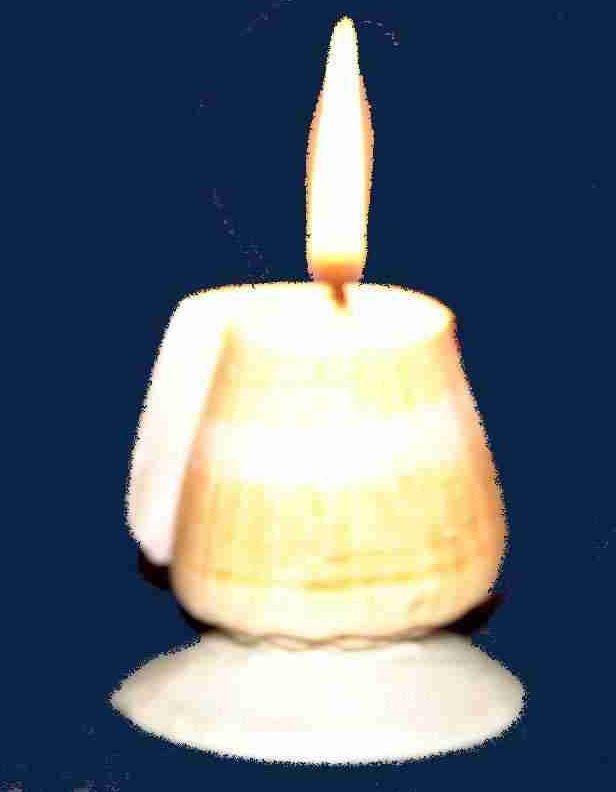  Shell Candle ( Shell Candle)