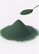  Yaeyama Chlorella Powder