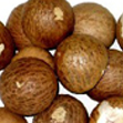  Areca Nut From Mangalore (Areca Mutter von Mangalore)