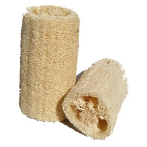 Luffa (Luffa)