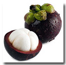 Fresh Mangosteen (Свежий Мангостан)