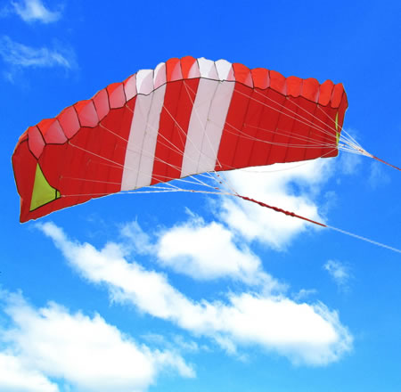  Parafoil Kite (Parafoil Kite)