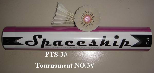  Badminton (Badminton)