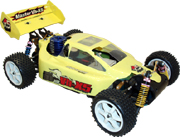 Nitro RC Cars Nitro Buggy, RC Buggy, 1: 10 RC Nitro Buggy (Nitro RC Cars Nitro Buggy, RC Buggy, 1: 10 RC Nitro Buggy)