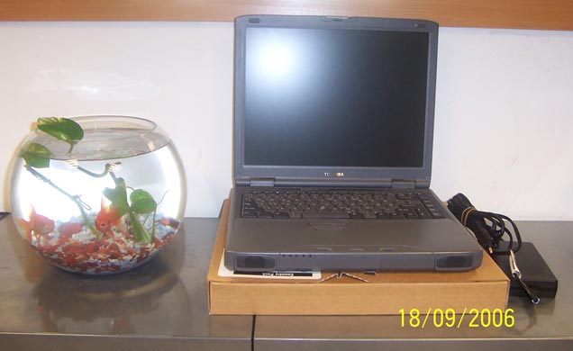  Toshiba Laptop