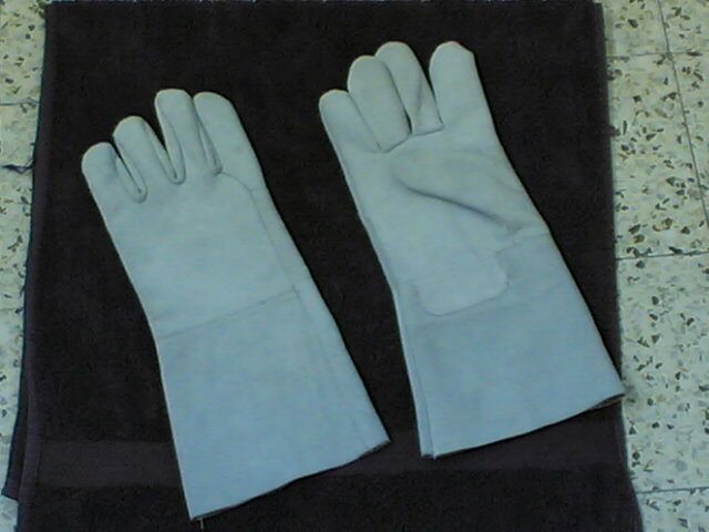  Gloves (Leather) ( Gloves (Leather))