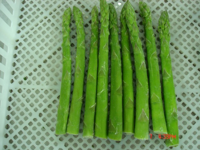  Asparagus ( Asparagus)