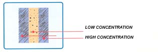  Sandwich Conical Segments